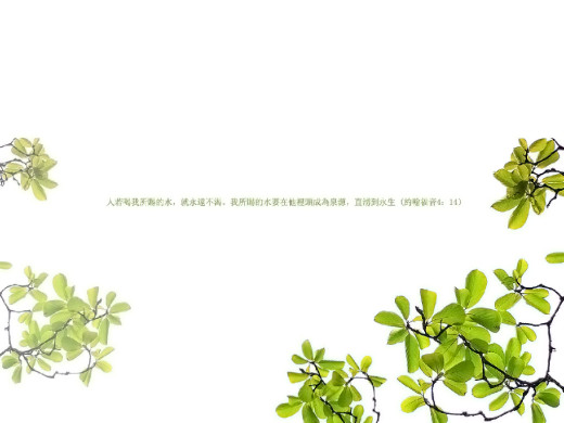 383065 (a): :1024x768